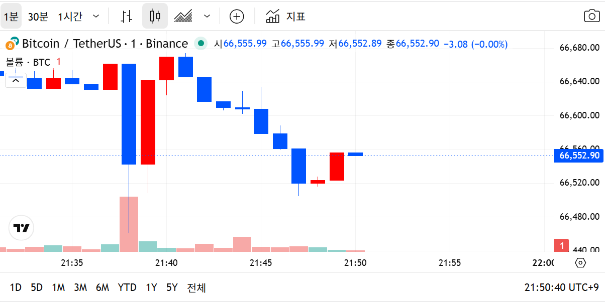 트레이딩뷰 연동 차트
